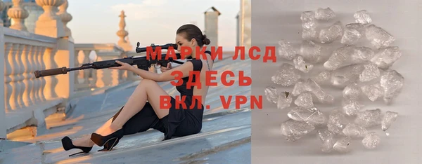 шишки Белокуриха