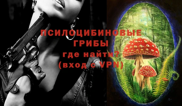 mix Снежинск