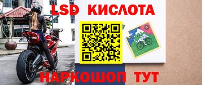 индика Заволжье