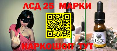 гидропоника Гусев