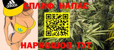 гидра Гусиноозёрск