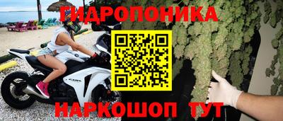 трава Балахна