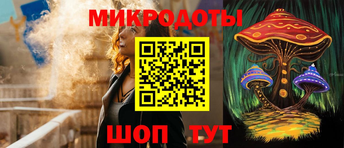 Псилоцибиновые грибы мицелий  Казань  Псилоцибиновые грибы Psilocybe 