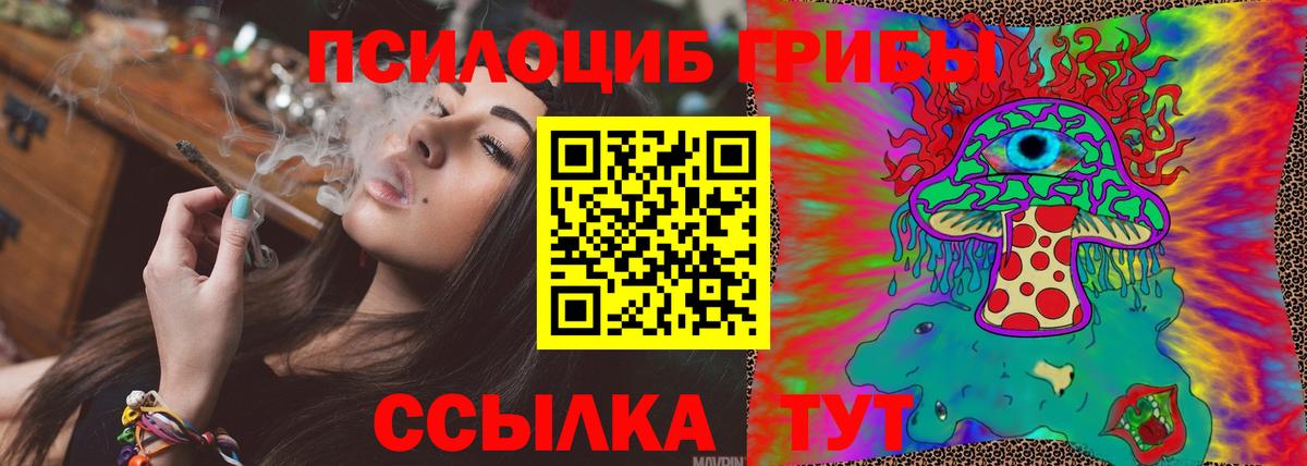 Галлюциногенные грибы прущие грибы Казань