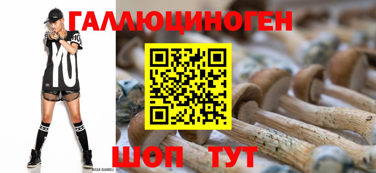 Казань  Псилоцибиновые грибы Psilocybine cubensis  Галлюциногенные грибы прущие грибы  Вход с VPN 